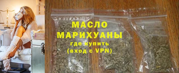 индика Бронницы